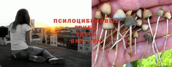 метамфетамин Алексеевка
