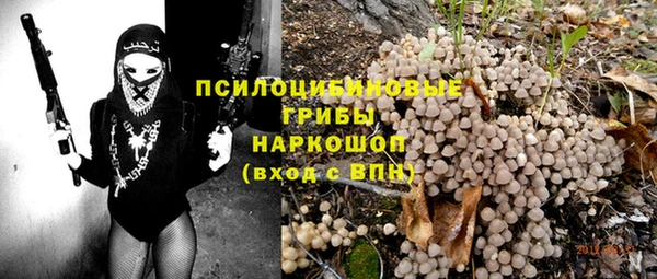 прущие грибы Алзамай